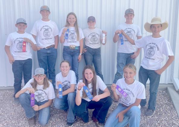 FFA, STEM Club and 2nd grade classroom happenings