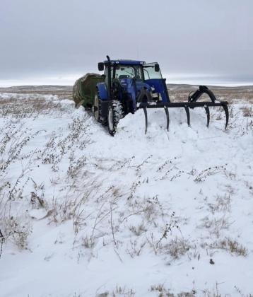 Trying to get to cattle was a struggle for many ranchers like Michael Stichka.