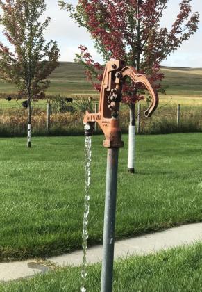 Is your domestic well water safe to drink?