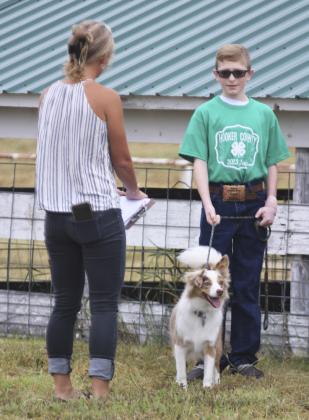 Oakes Miller talks to the judge during the 4-H Small Animal Show. Gerri Peterson