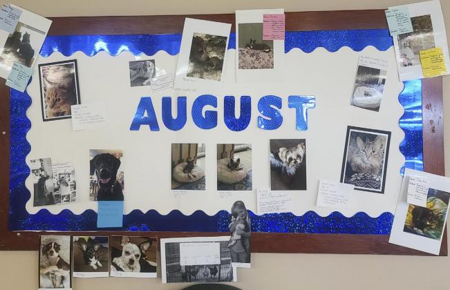 For our August bulletin board, I had staff bring in pictures of their fur babies and write a little bio about them. Thanks for everyone who brought in pictures. It was fun.