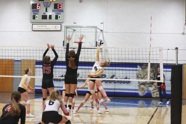 Hayley Donohoe goes for a kill in Arnold.