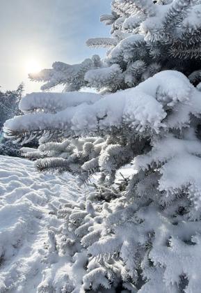 Mullen receives first measurable snow of the season
