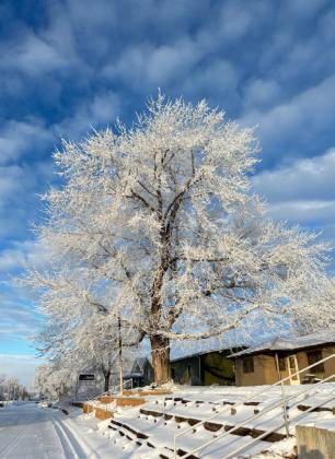 Mullen receives first measurable snow of the season