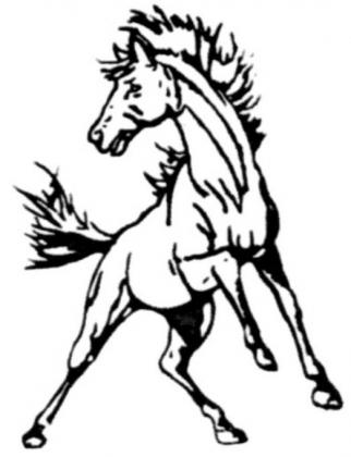 Lady Broncos go 1-2 at Seven Valleys Tournament