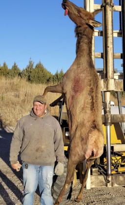 Eric Deibler drew a cow elk tag and harvested her by Valentine