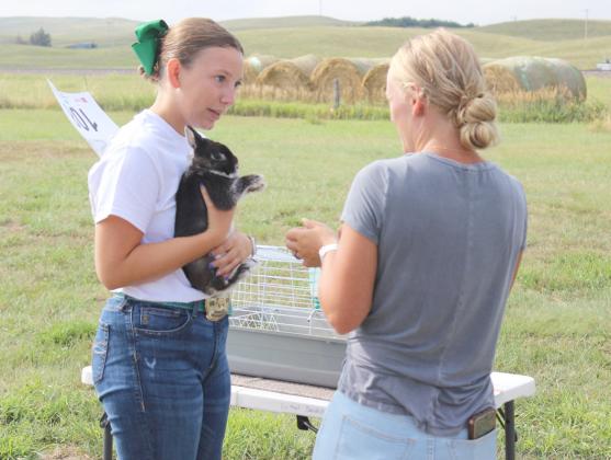 Hope Miller with her companion animal Chester the rabbit. Gerri Peterson