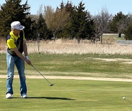 Golf team finishes 2nd again, Walker, Werner medal