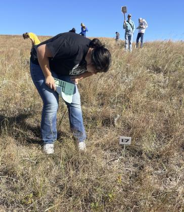 Mia Flores-Green works to identify one of the plants.