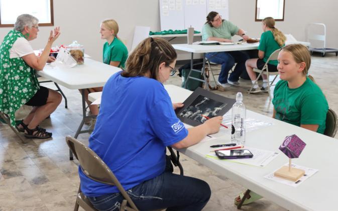 4-Hers during interview judging for their building exhibits last Thursday morning, July 30. L-r: Ava Walz, Kassidy Cheever (behind) and Ella Walz. Gerri Peterson