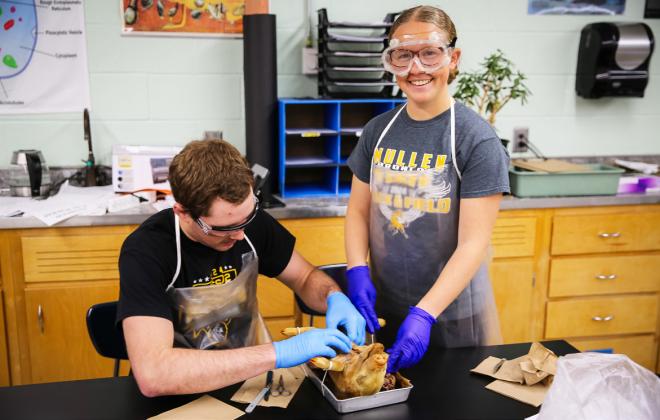 The MHS anatomy students spent a few days last week dissecting fetal pigs. Pictured are Jason Kraus and Riley Hegland.