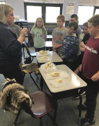 Elementary Arbor Day presentations