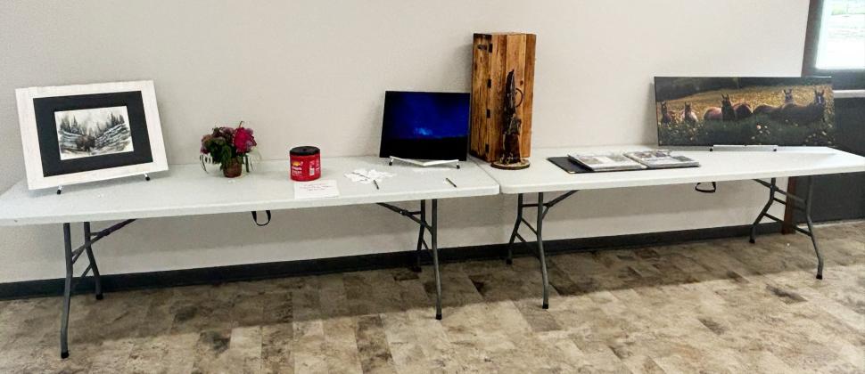 The Open Class exhibits chosen by the judges to be voted on for People’s Choice are pictured left to right, entered by: Kyle Hoyt, Becky Mundorf, Nicholas Lattin, Kyle Hoyt, Cathy Nichols and Nicholas Lattin. Gerri Peterson