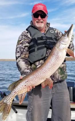 Dave Major of Valentine with a 42” northern pike taken Nov. 6, 2020, at Lake Oahe north of Pierre, South Dakota.