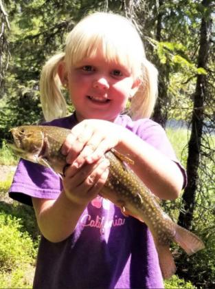 4-year-old Daryl Ann Deibler caught the largest brook trout (14”) while her family was camping in Medicine Bow Forest, Wyoming, this summer.