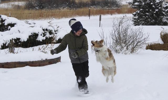 Thank you to everyone who submitted photos for the annual Christmas/Winter Photo Contest. Congratulations to Tami Miller who won a free year subscription to the Tribune. Duke Miller and Rooster enjoyed the first real snow of the season last month!