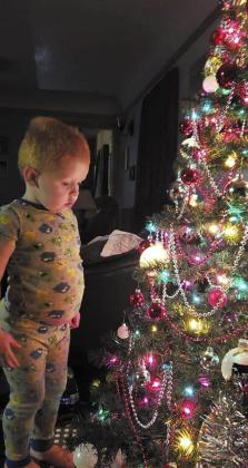 Kally Wilson submitted this photo of her son, Joey.