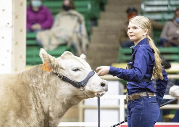 For her first big livestock show experience, 4-Her Faith Miller represented Hooker County very well, placing in the top 11 in every category but one. Tami Miller