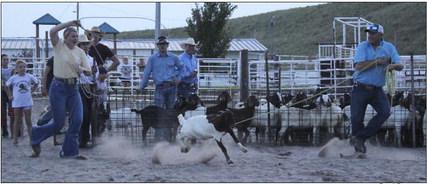 Two hundred teams competed in the Goat Roping on Friday evening, Aug. 5. Pictured are the father/ daughter team of Bryan and Faith Miller. Results for the night were: 1. Tod Shepherd &amp;amp; Cody Sierks ($800), 2. Jay Lovitt &amp;amp; Ryan Shepherd ($600), 3. Quincy Opela &amp;amp; Ryan Shepherd ($400). Gerri Peterson