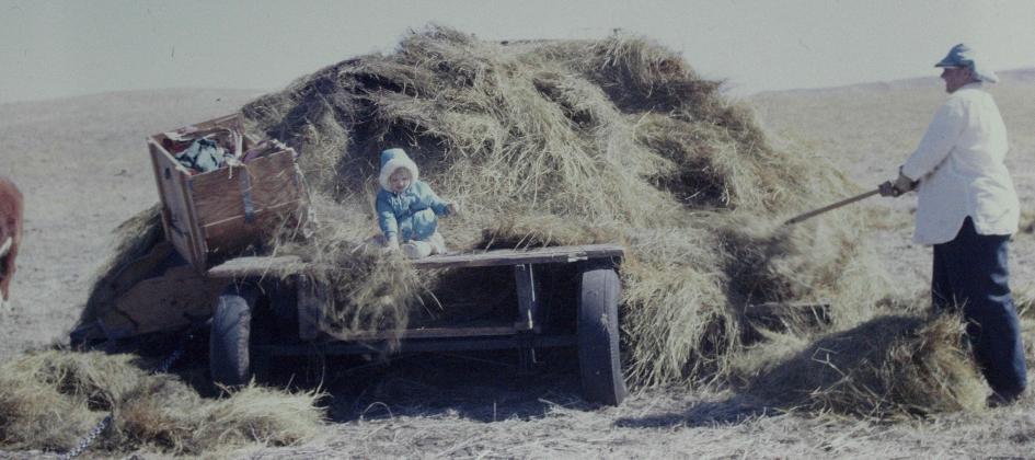 Karen Dageforde submitted this photo of her “helping” her grandma Anna Yaryan feed the cattle in the 1960s.