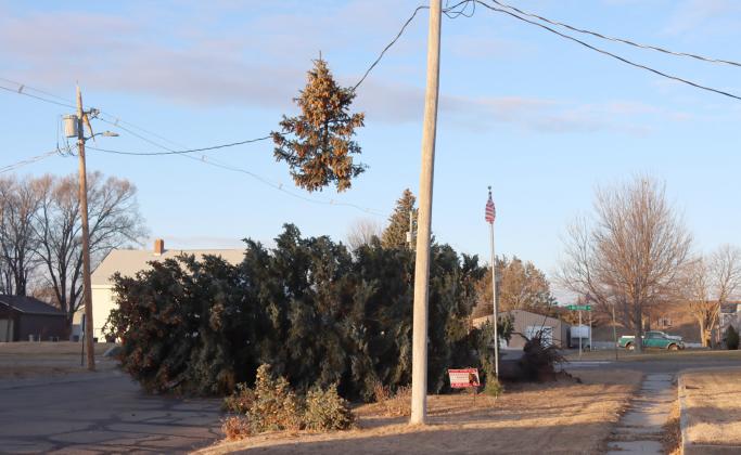 High winds cause damage in Mullen