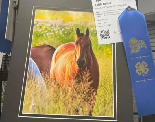 Faith Miller received a purple ribbon in the State Fair 4-H Fashion Show last Saturday. Her horse photo was also selected for the UNL Animal Science Department Exhibition. courtesy photos