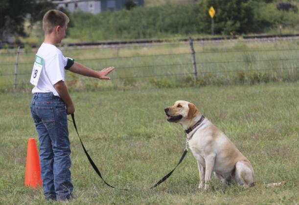 Hayden Deibler and Tuck - 4-H Small Animal Show.