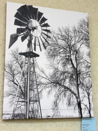 Kelsey Phillips’ 3rd place photo.