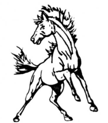 Broncos finish regular season with 15-8 record