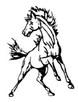 Bronco cross country competes
