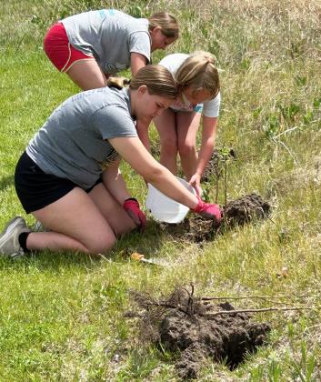 A big shout out to Upper Loup NRD for the donation of a bundle of shrubs for the Girl Scout Mullen dog park. A special thanks to Maci, Ella and Ryann Walz for helping Girl Scout leader Roxann Brown plant the shrubs. Roxann Brown