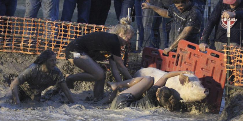 L-r: Emily Ady, Abbie Hedgecock and Callie Groseth in women’s pig wrestling action. Gerri Peterson