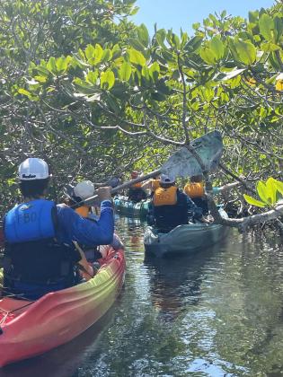 Kayaking through the mangroves.