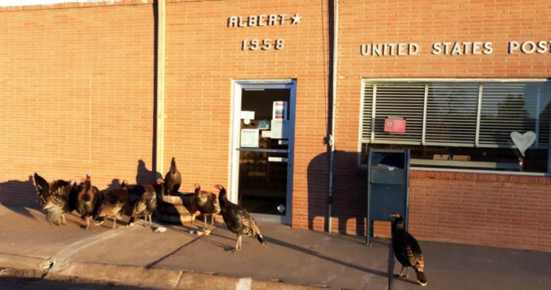Showing off in front of the post office. Leonard Phillips