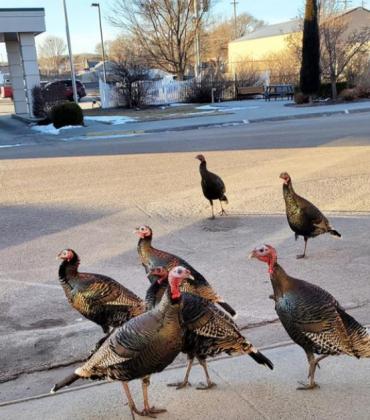 In front of the grocery store. Cassandra Gray