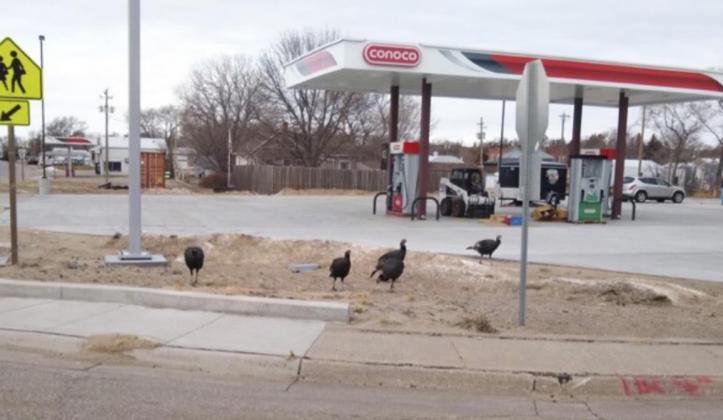 Waiting for the new Kwik Stop to open! Adrienne Deibler