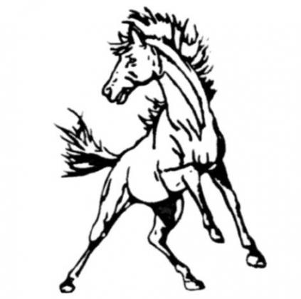 Lady Broncos place 2nd, boys 3rd at MNAC Track