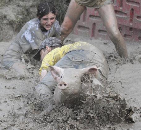 This pig managed to escape first Ella Homan, and then Daniel Wright through his legs! Gerri Peterson