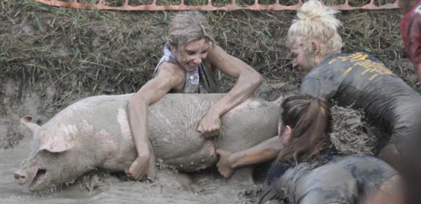 Peyton Paxton grabs her team’s pig with the help of Keragan Welch, Tierston Moore and Medora DeNaeyer.