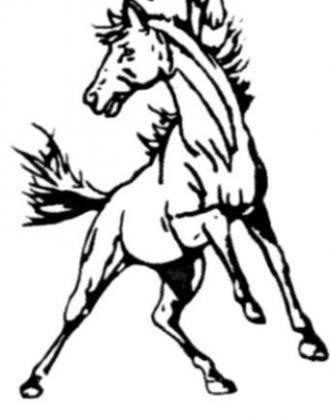 Alt Text for Image