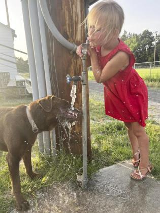 The dog days of summer