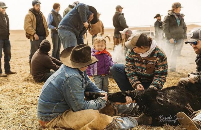 Clara Schmid gets some assistance from her daughter Quinley at a branding. Brooke Juma