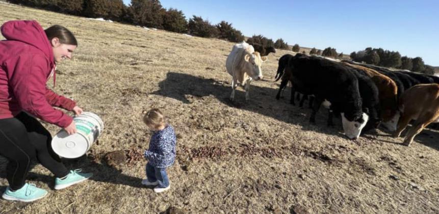 Rebekah Daniels and her niece Amelia caking the cows.