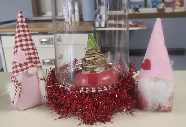 Some of our little gnome decorations brought in from Heather.