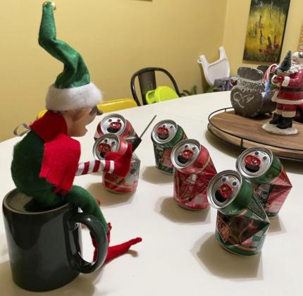 “Elf” wins Elf on the Shelf Contest