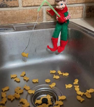 “Elf” wins Elf on the Shelf Contest