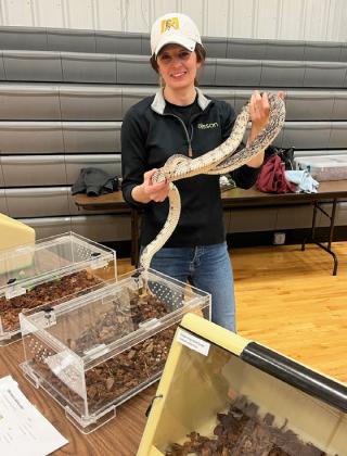 The critters at Critter Station were all snakes borrowed by Shelby Ridenour - here she is holding an eastern pine snake