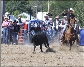 Brooke McCully of Mullen made her college rodeo debut a big success September 15-17 by placing second in breakaway roping at the Chadron State rodeo. Her times were 2.1 and 2.5 seconds. Now a junior at Chadron State, Brooke was on the Eagles’ basketball team the previous two years, but switched to rodeo this fall. There were 97 breakaway ropers at the rodeo. Brooke is pictured after making the catch during the finals.