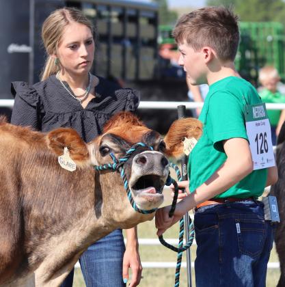 Swine, goats, cattle at Livestock Show