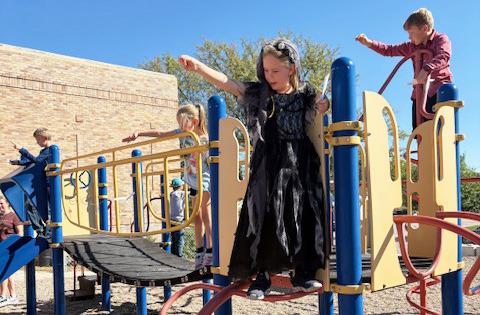 2nd graders explore koa tree